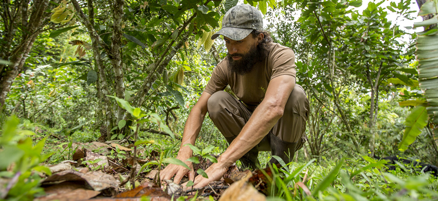 El Chocó Andino, un paraíso para la práctica del ecoturismo en Quito